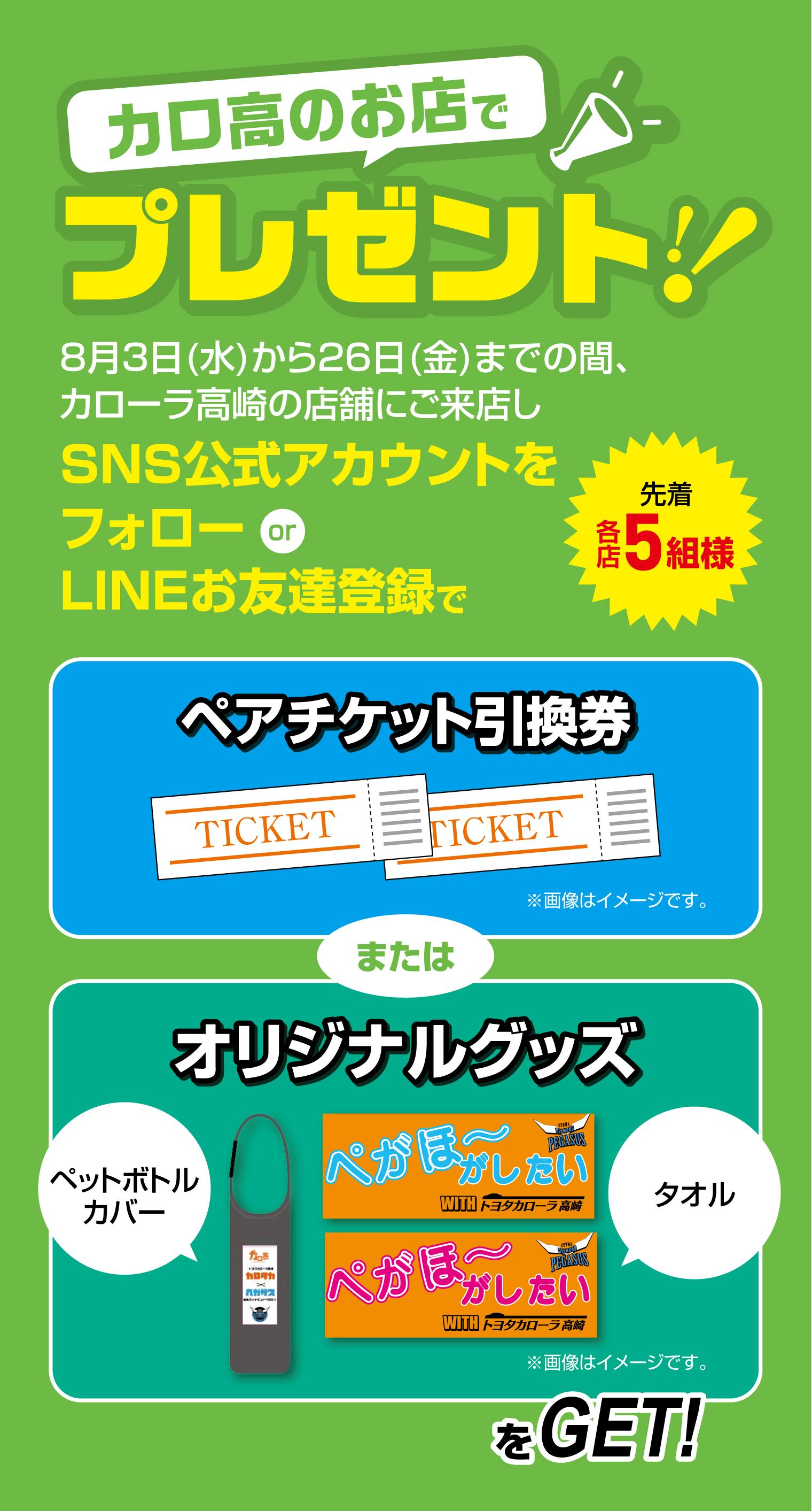 ペガサスvsジャイアンツ トヨタカローラ高崎株式会社