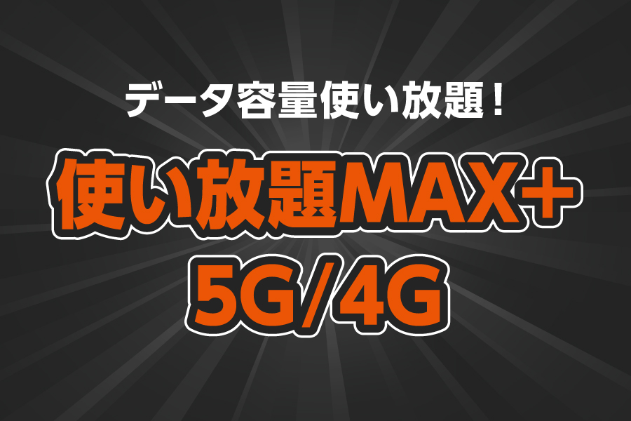 使い放題MAX