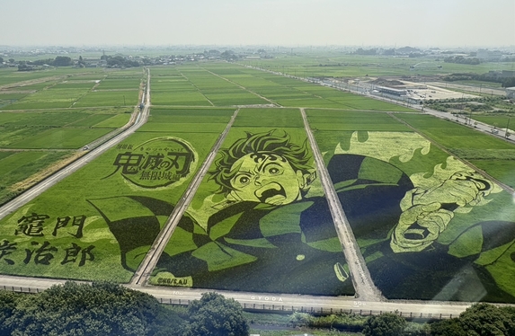 🍃圧巻の田んぼアート🍃