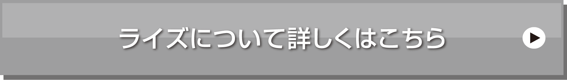 ライズのリンク