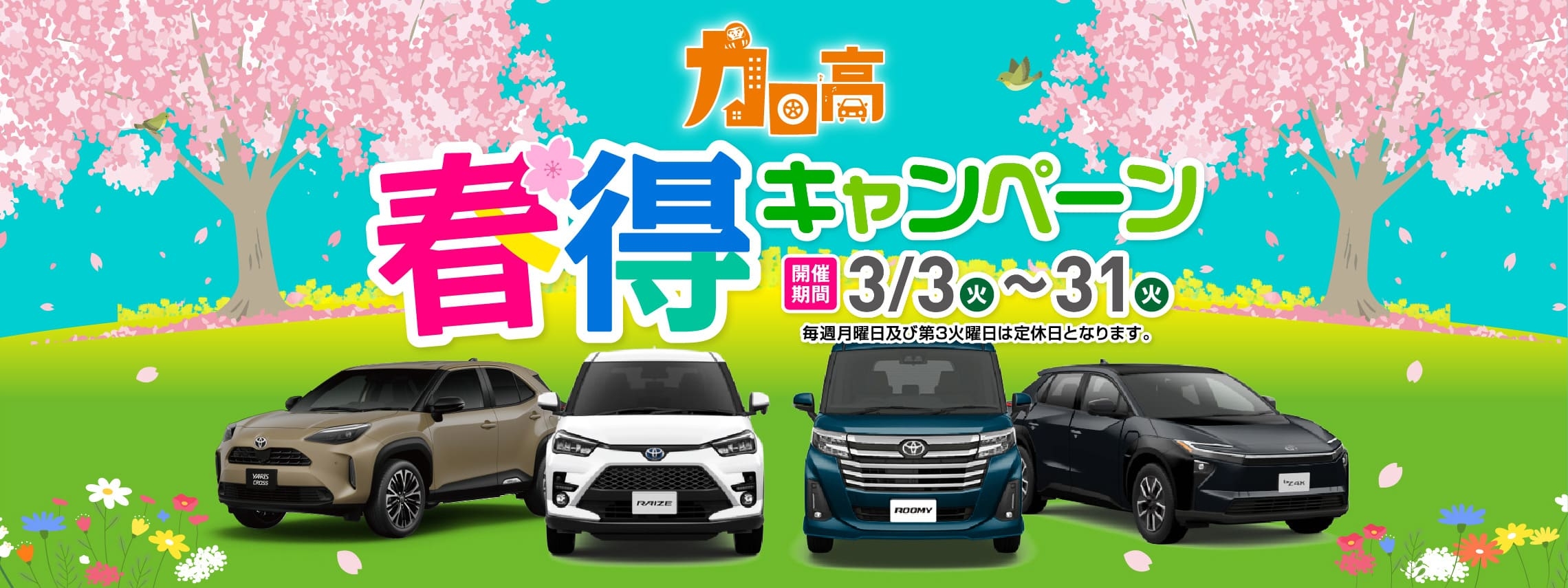 春トクキャンペーン