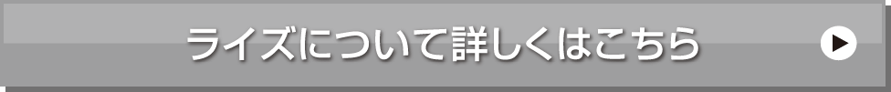 ライズのリンク